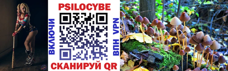 Галлюциногенные грибы GOLDEN TEACHER  Кузнецк 